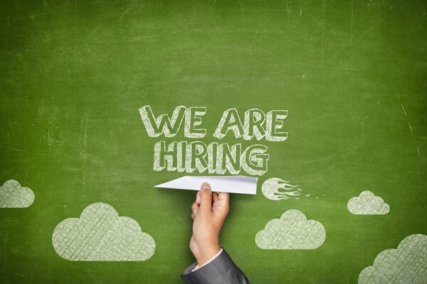 flight attendant jobs